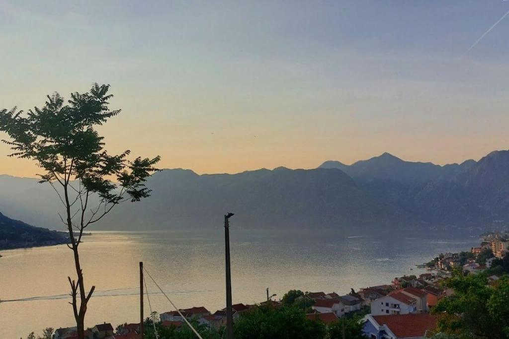 Animil 1 Apartman Kotor Kültér fotó