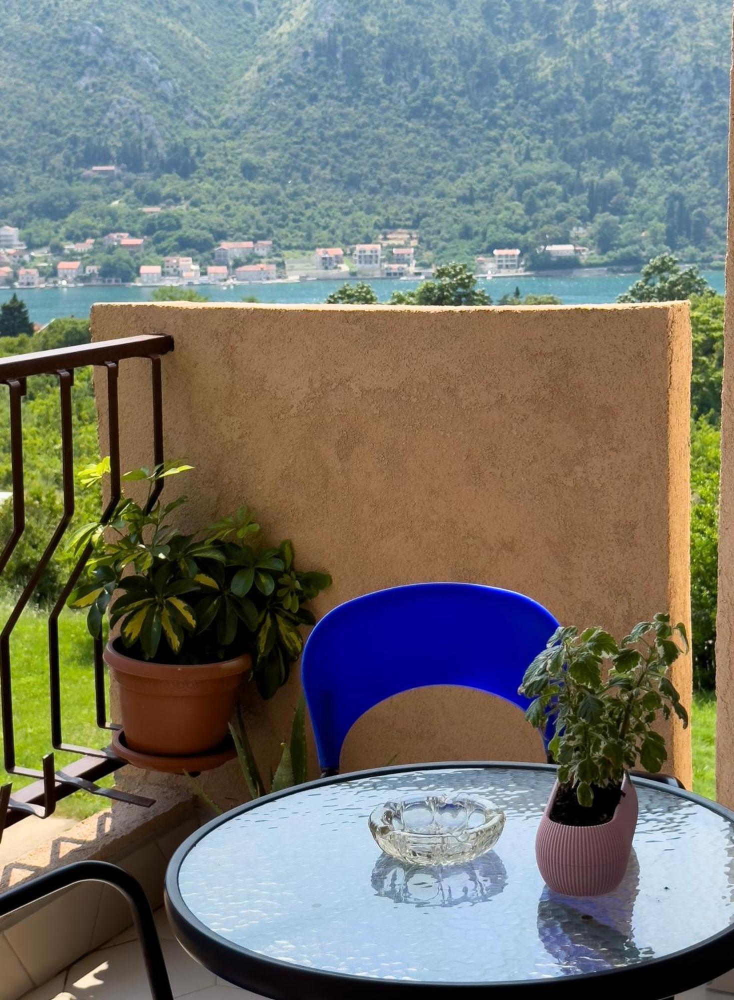 Animil 1 Apartman Kotor Kültér fotó