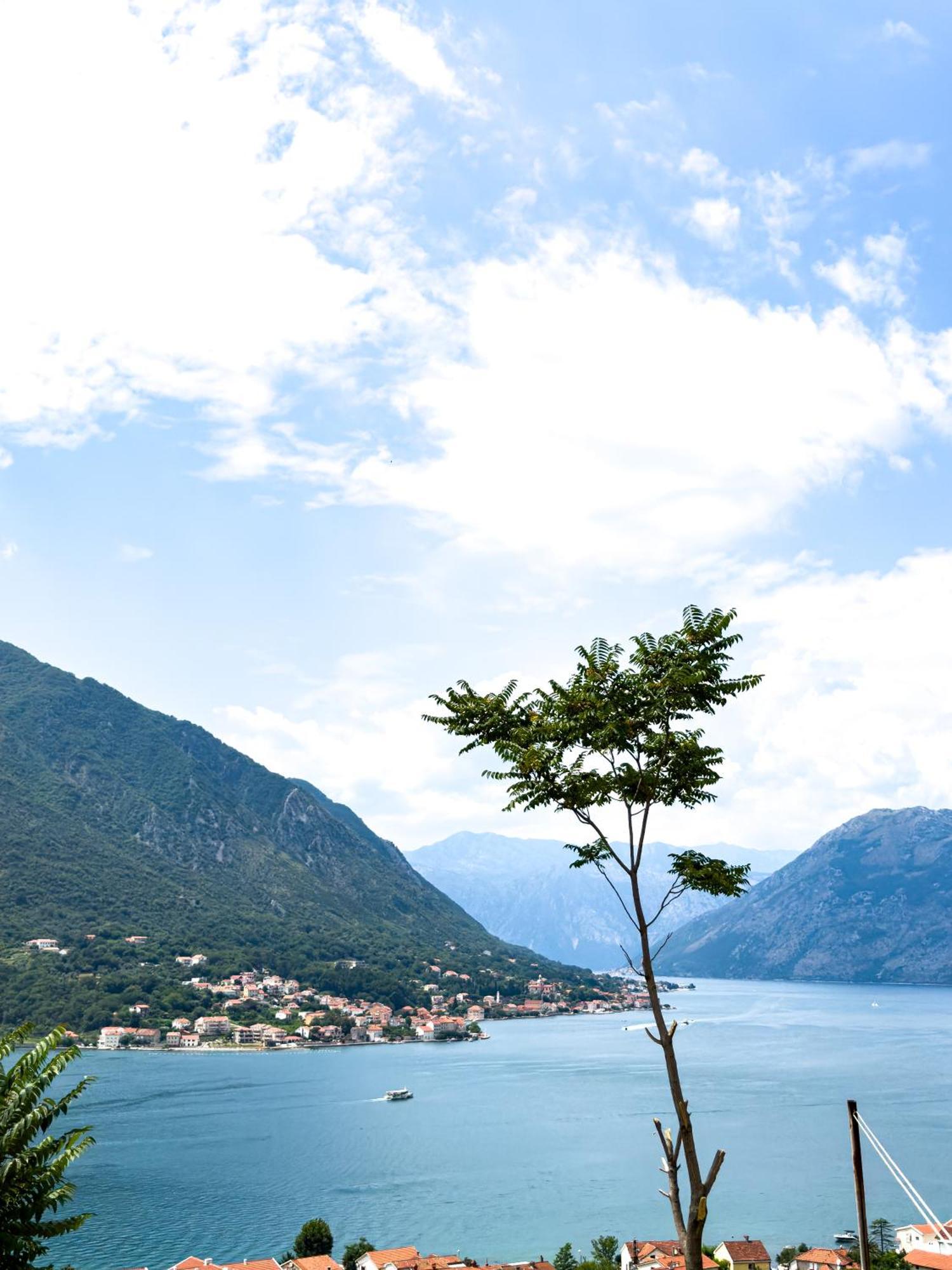 Animil 1 Apartman Kotor Kültér fotó